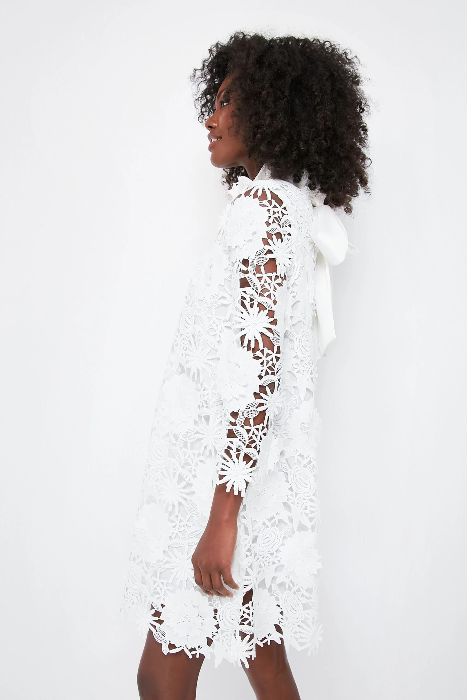 Blanc Guipure Lace Daphne Dress - Image 3