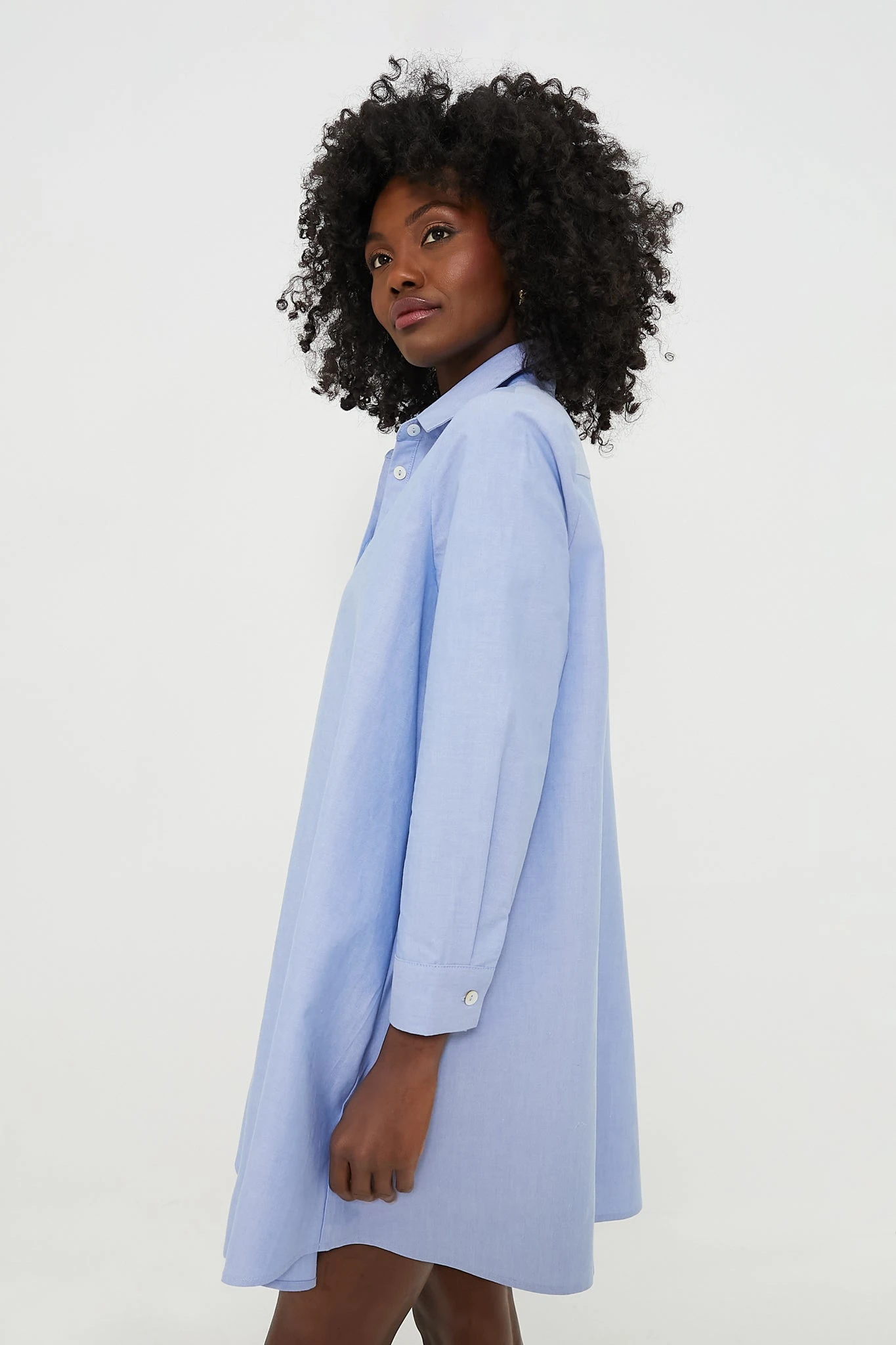 Chambray Harris Shirt Dress - Image 3