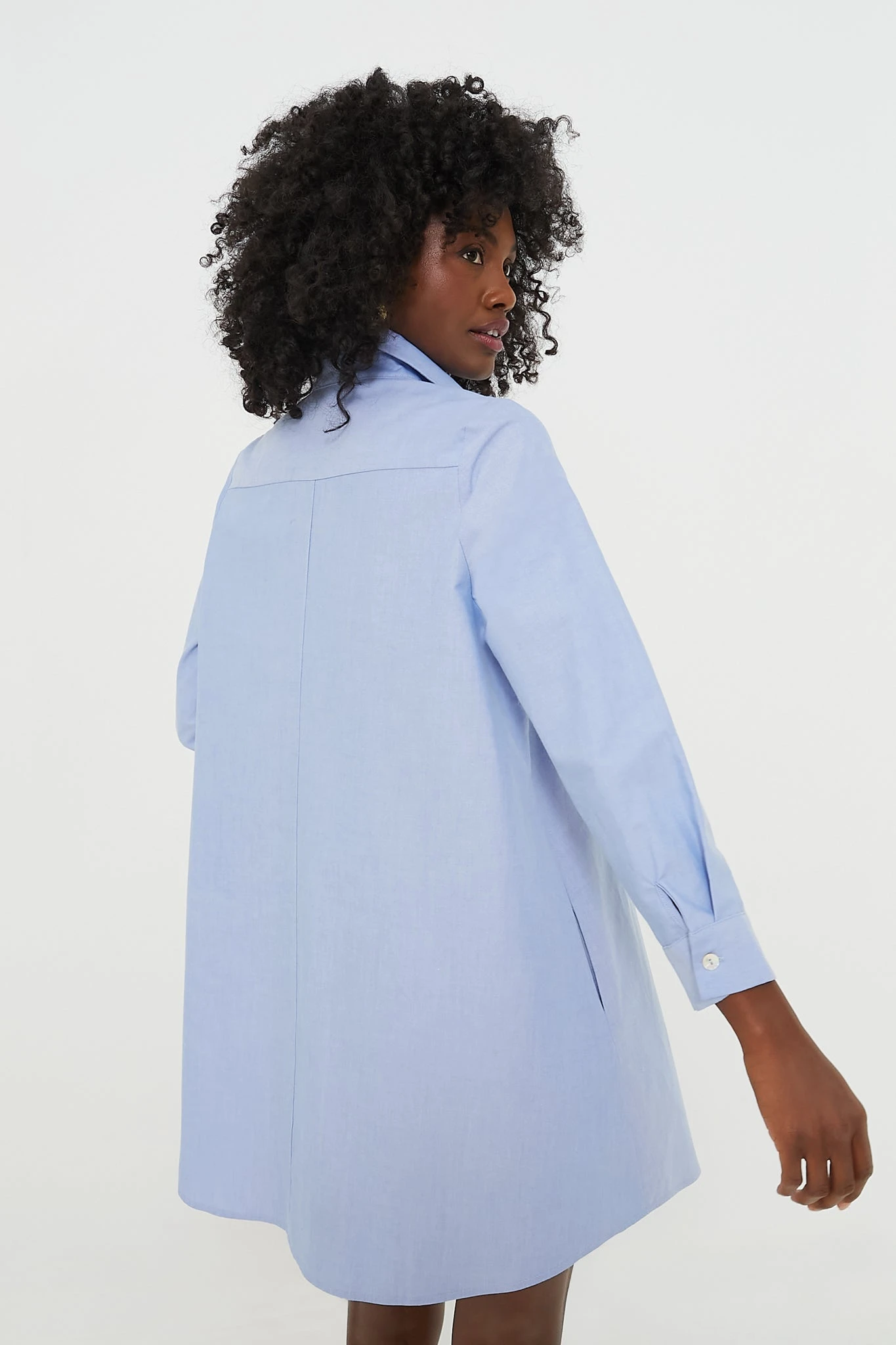 Chambray Harris Shirt Dress - Image 4