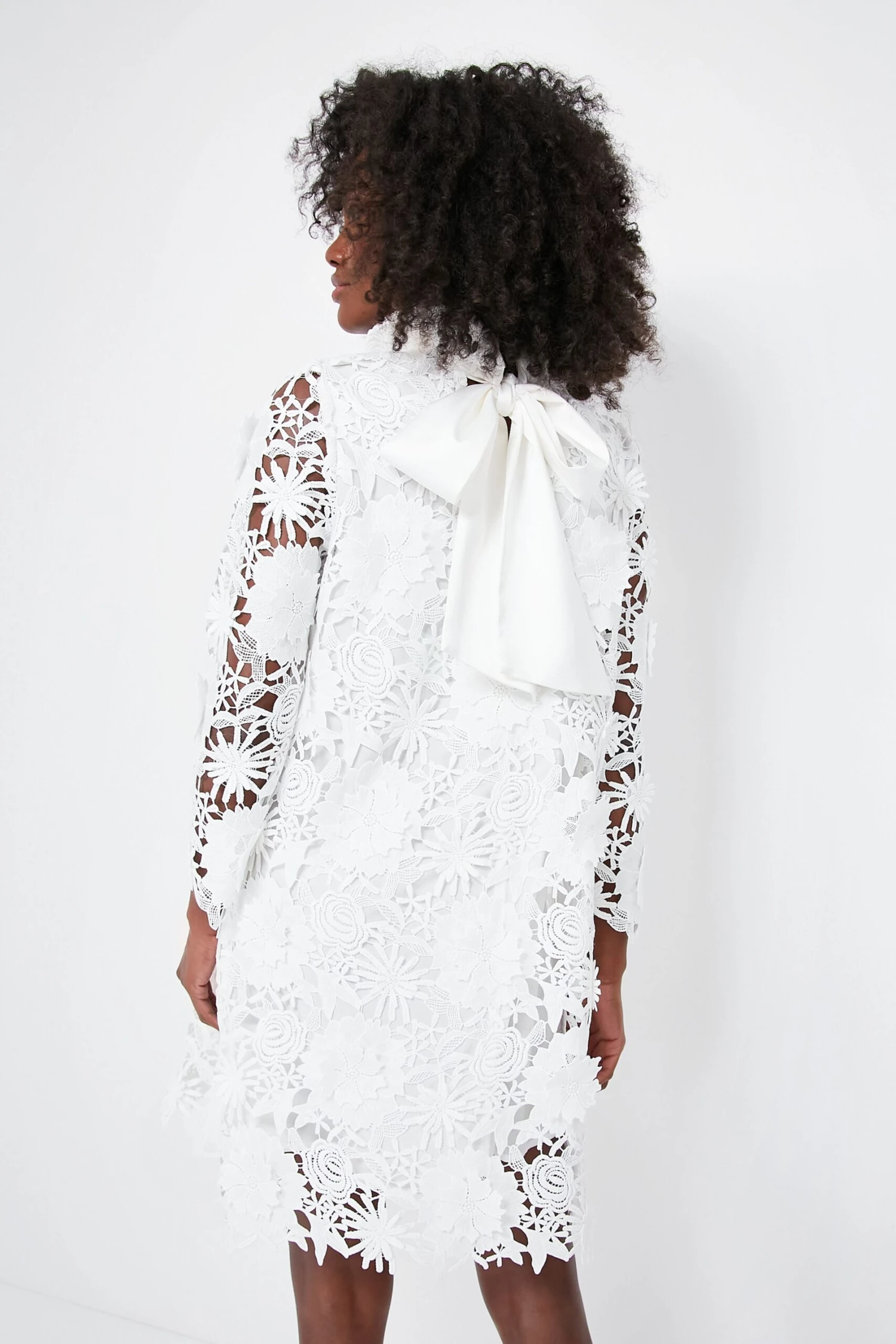 Blanc Guipure Lace Daphne Dress - Image 4