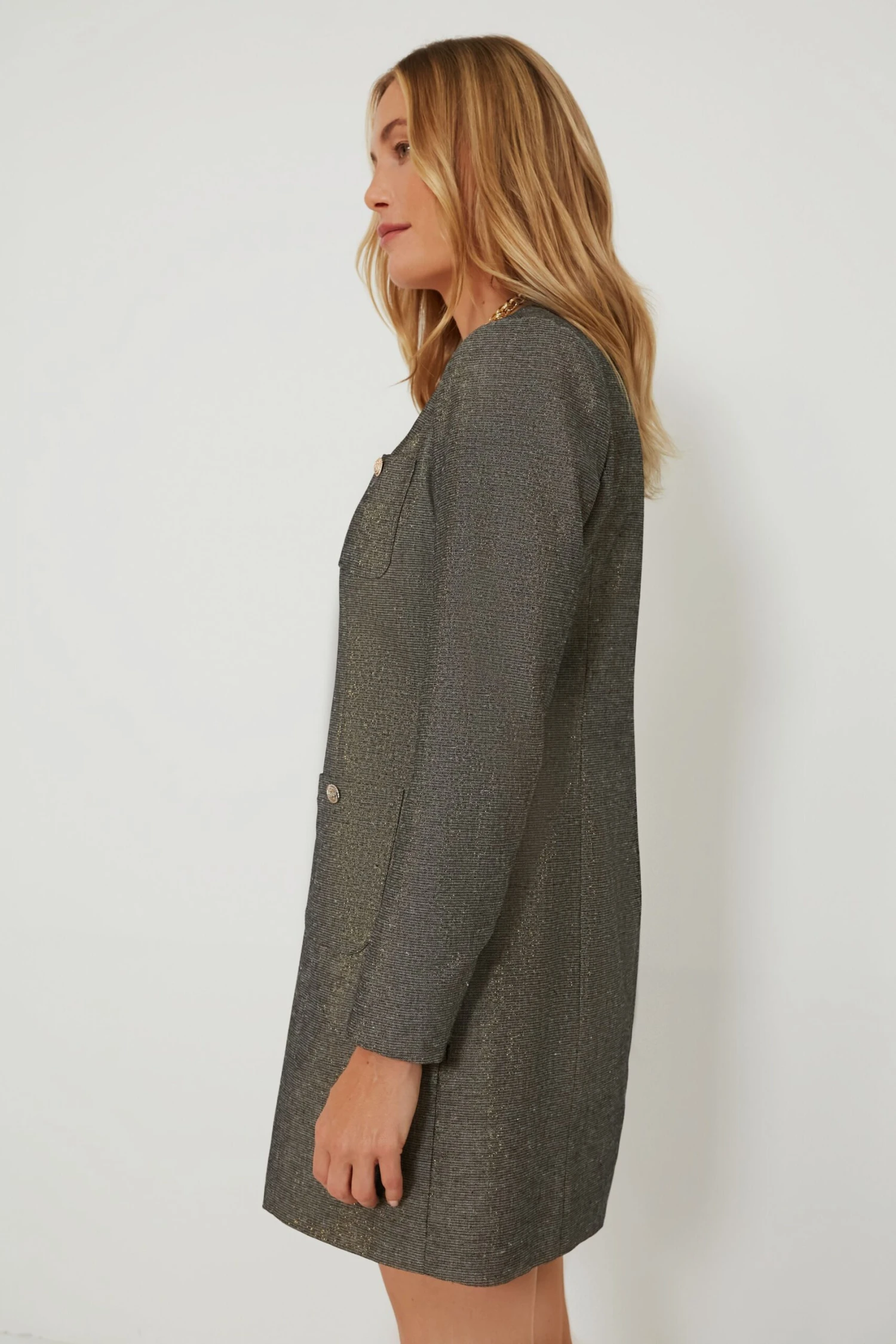 Coventry Metallic Keira Dress - Image 5